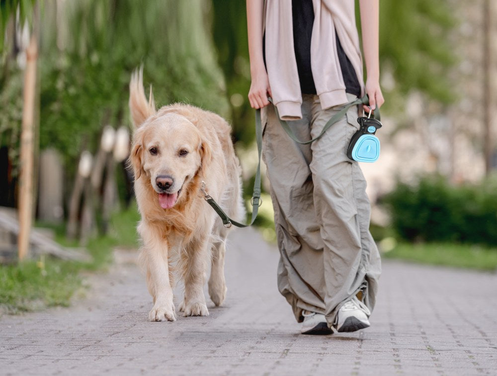 How To Choose The Best Pooper Scooper For Large Dogs?