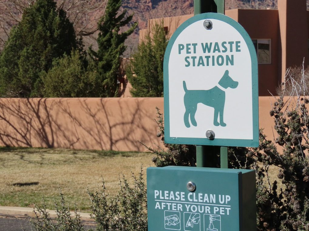 Your Guide To Dog Waste Disposal Systems