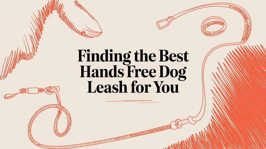 The Ultimate Guide To The Best Hands-Free Dog Leash